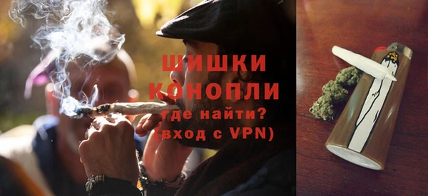 PSILOCYBIN Баксан