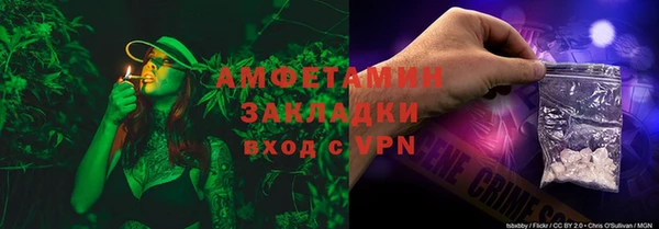прущие грибы Аркадак