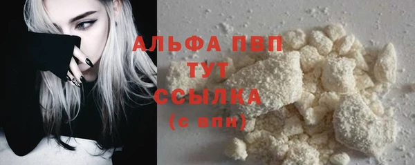 прущие грибы Семилуки