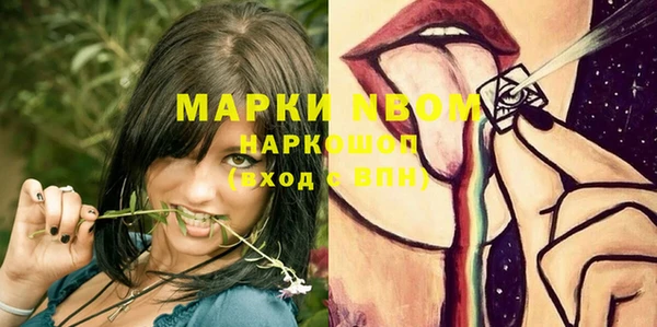 прущие грибы Аркадак