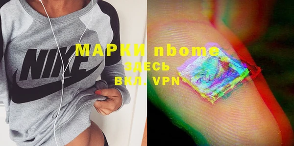 прущие грибы Аркадак