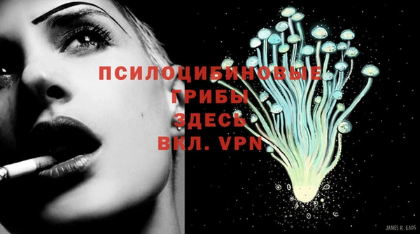 дмт Арсеньев
