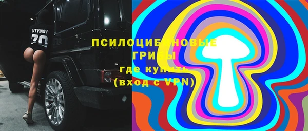 PSILOCYBIN Баксан
